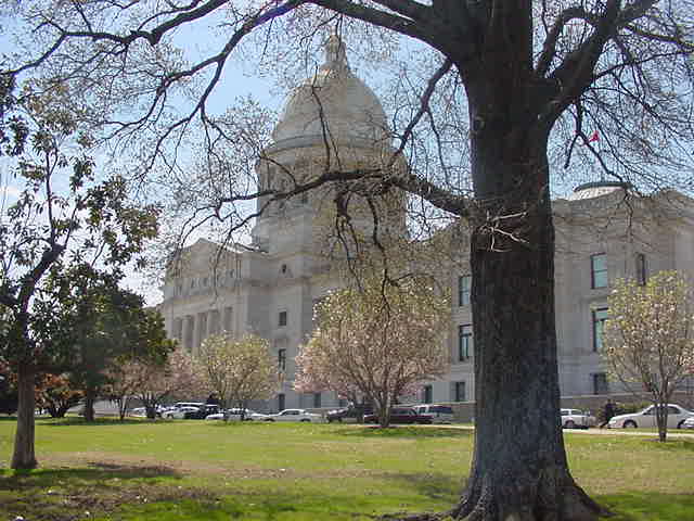 Large domed government-style building seen through bare and blossoming trees on a grassy lawn, white and green tones